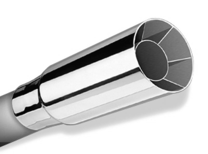 Borla® - Stainless Steel Round Intercooled Straight Cut Clamp-On Dual  Polished Exhaust Tip