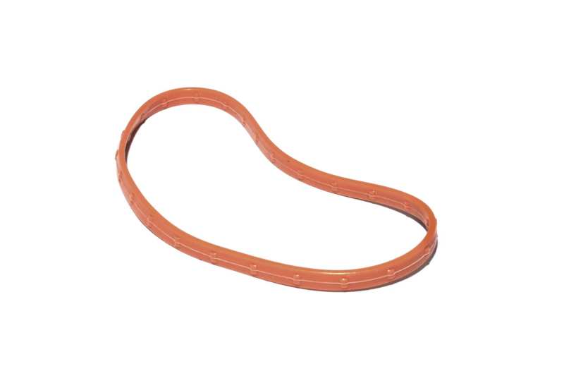 FAST O-Ring Seal For 102MM Throttle FAST