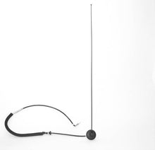 Load image into Gallery viewer, DV8 Offroad 1997-06 Jeep TJ Replacement Antenna Black DV8 Offroad