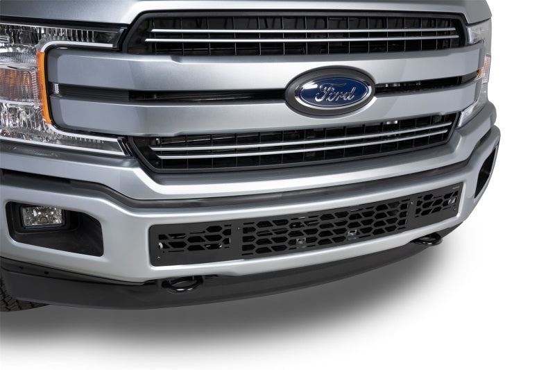 Putco 18-20 Ford F-150 - Hex Shield - Black Powder Coated Bumper Grille Inserts Putco