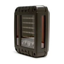 Load image into Gallery viewer, DV8 Offroad 07-18 Jeep Wrangler JK Horizontal LED Tail Light DV8 Offroad