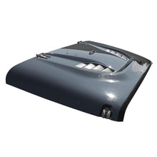 Load image into Gallery viewer, DV8 Offroad 07-18 Jeep Wrangler JK Rubicon 10th Anniversary Replica Hood DV8 Offroad