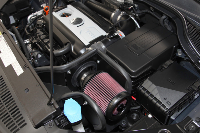 K&N 09-10 VW Passat/GLI/GTI 2.0L-L4 Typhoon Short Ram Intake K&N Engineering