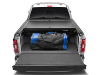 Load image into Gallery viewer, Roll-N-Lock 17-19 Ford F-250/F-350 Super Duty SB 80-3/8in Cargo Manager Roll-N-Lock