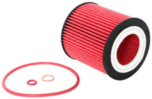 Load image into Gallery viewer, K&amp;N 2019 BMW M2 3.0L/M4 3.0L Cartridge Oil Filter K&amp;N Engineering