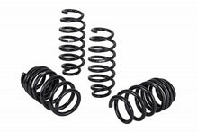Load image into Gallery viewer, Eibach Pro-Kit for 17-19 Tesla 3 Long Range (AWD) Eibach