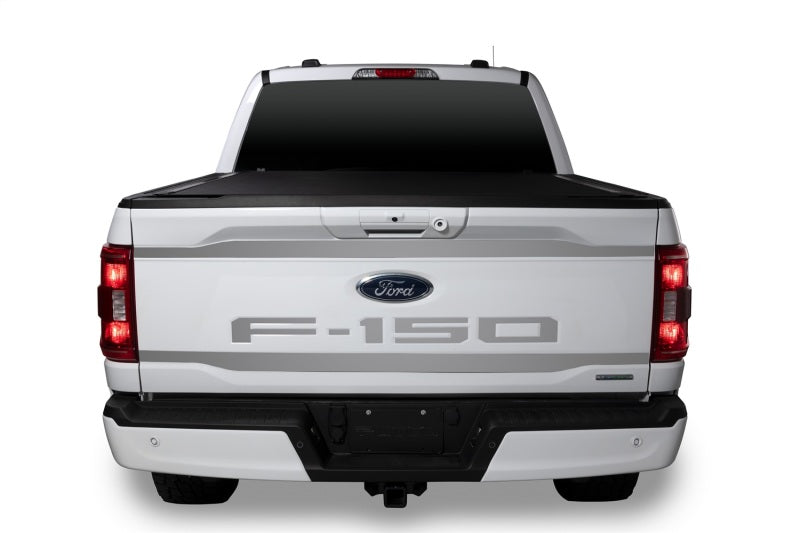Putco 2021 Ford F-150 Ford Lettering (Cut Letters/Stainless Steel) Tailgate Emblems Putco