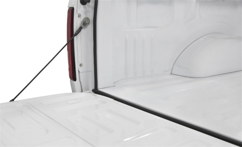 Access Accessories TRAILSEAL Tailgate Gasket 1 Kit Fits All Pickups Access