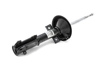Load image into Gallery viewer, Eibach Pro-Damper Kit for 05-10 Ford Mustang Convertible/Coupe / 07-10 Shelby GT500 Eibach