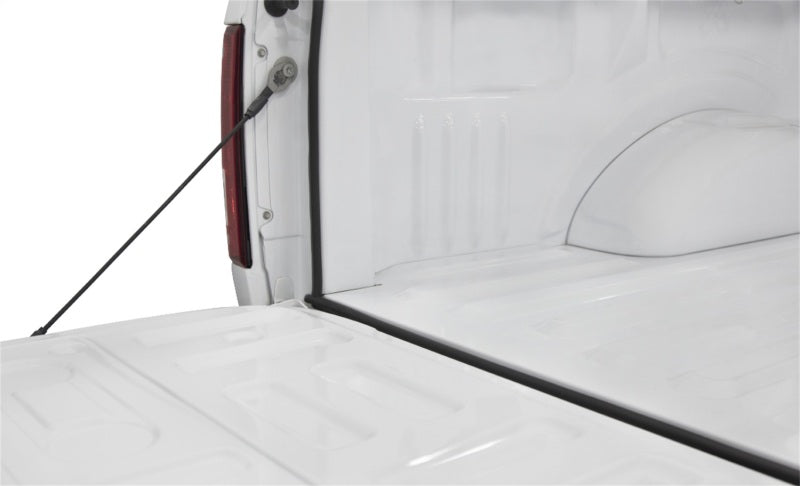 Access Accessories TRAILSEAL Tailgate Gasket 1 Kit Fits All Pickups Access