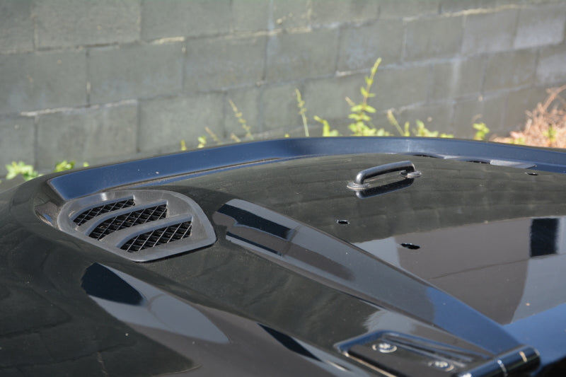 DV8 Offroad 07-18 Jeep Wrangler JK Rubicon 10th Anniversary Replica Hood DV8 Offroad