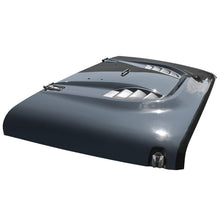 Load image into Gallery viewer, DV8 Offroad 07-18 Jeep Wrangler JK Rubicon 10th Anniversary Replica Hood DV8 Offroad